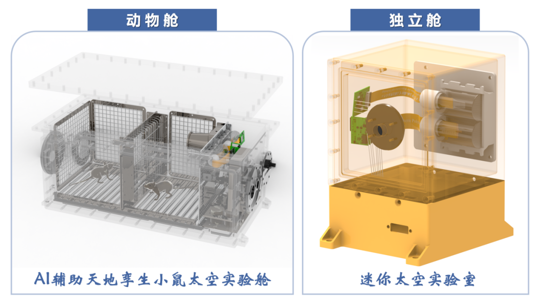 图片 6.png