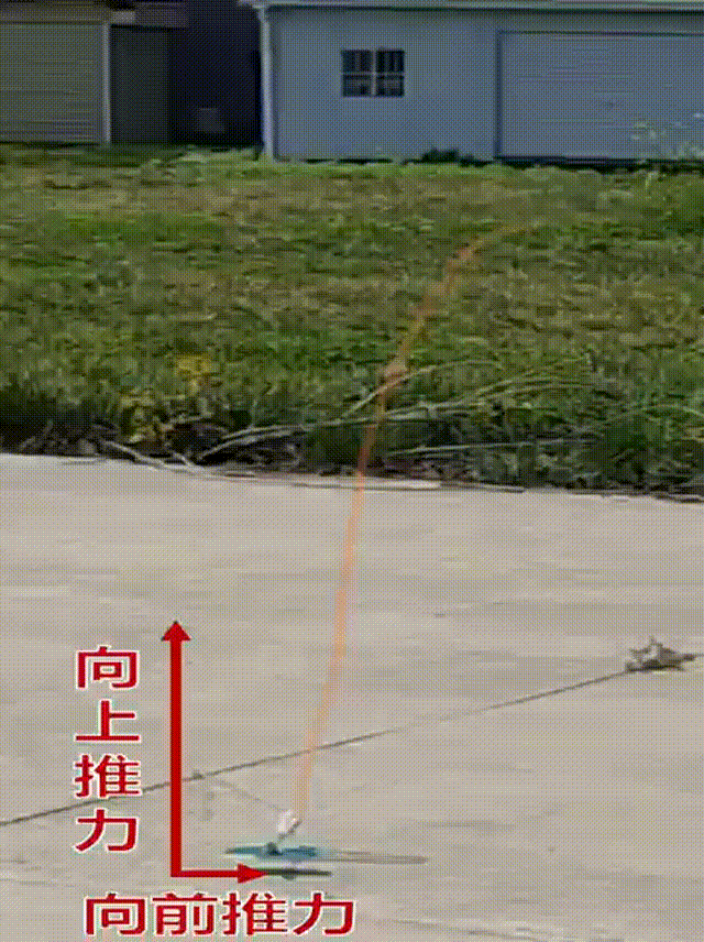 9.gif 9.gif