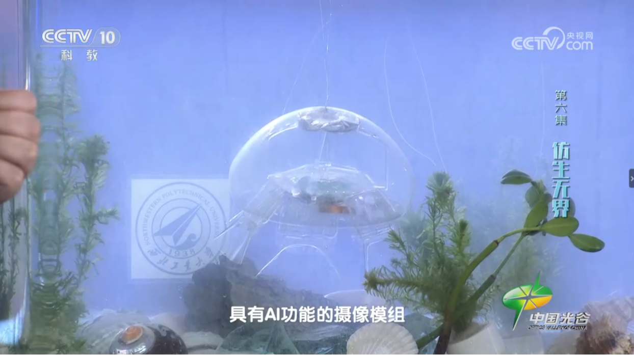 我校科研团队自主研发仿生水母机器人